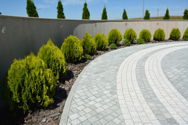 Best Driveway Repair Near Me  in Freeport, TX